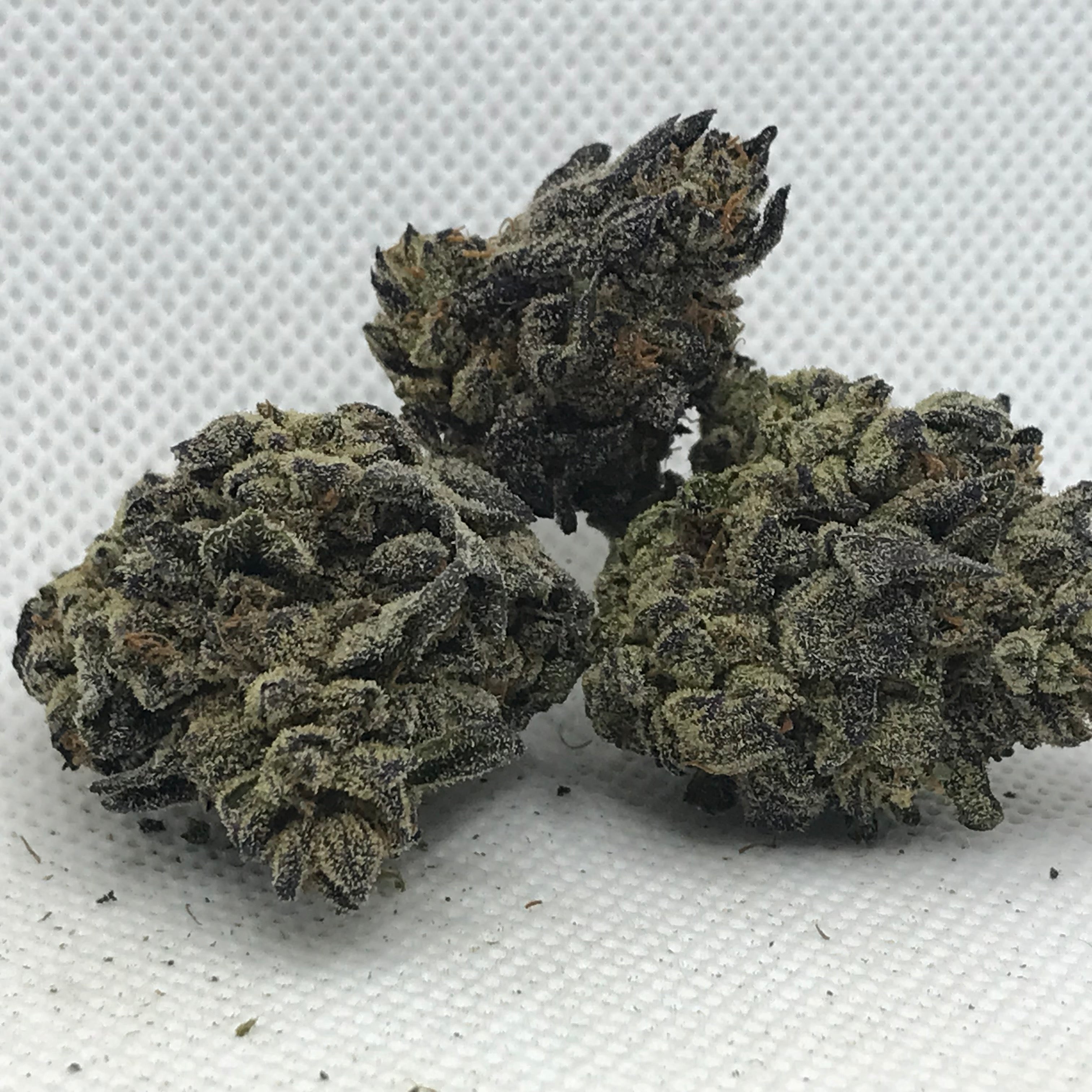 Grand Daddy Purple Indica-H Exotic