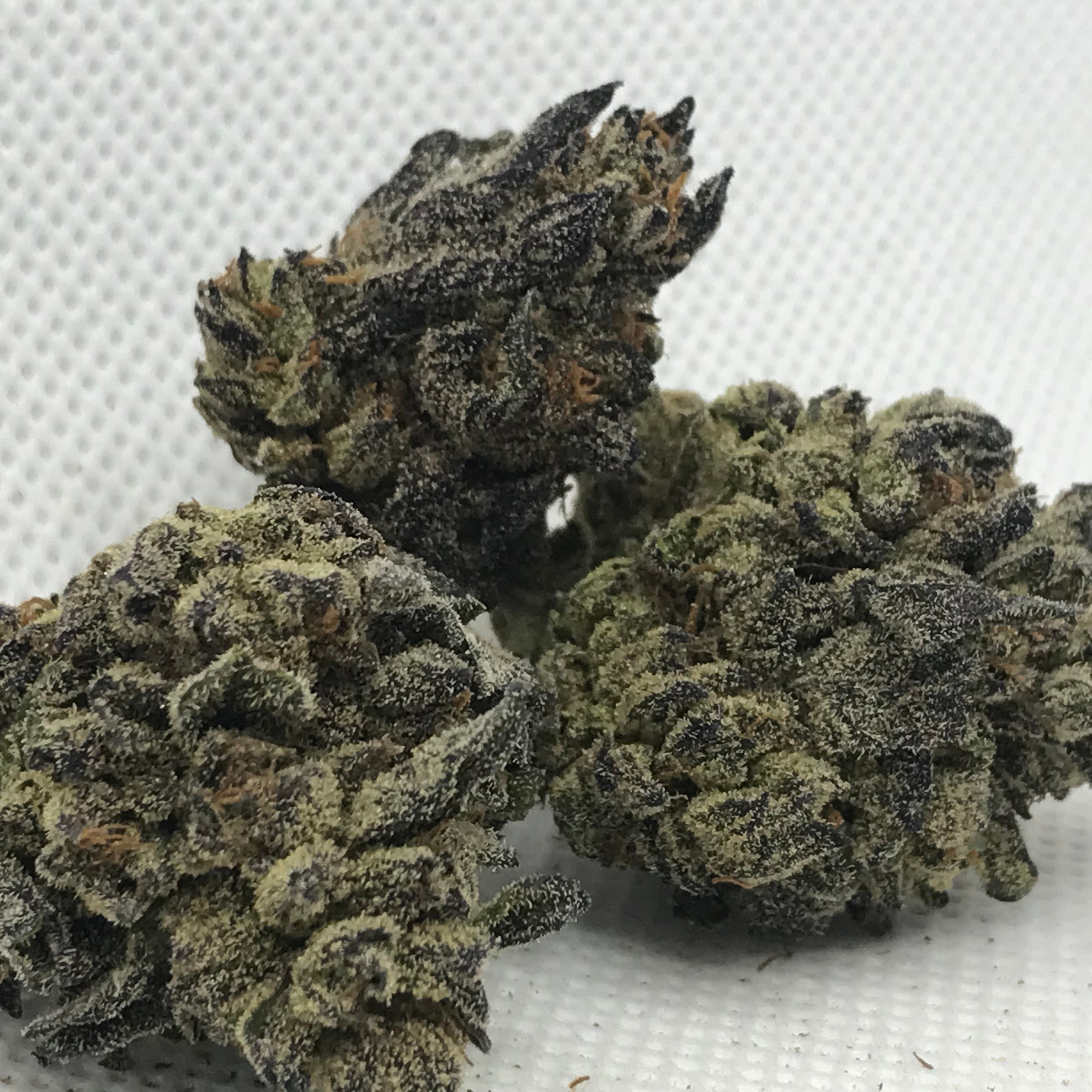 Grand Daddy Purple Indica-H Exotic